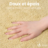 Tapis de Bain Antidérapant microfibre 60x90cm beige