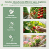 Mini Serre de jardin avec 2 portes enroulables bache PE renforcee 135g/m2 180x90x90cm Vert