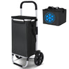 Chariot de course pliable aluminium 2 roues avec sac isotherme noir - VOUNOT FR