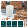 Lot de 4 Voiles d'Hivernage Plante avec Cordon 60g/m² 60x80cm Blanc - VOUNOT FR
