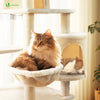 Arbre a chat Grande taille 5 niveaux avec griffoir grattoir 168cm beige - VOUNOT FR