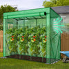 Serre de jardin Serre tomates avec porte et fenetres moustiquaire bache PE renforcee 135g/m2 200x77x170cm Vert