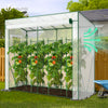 Serre de jardin Serre tomates avec porte et fenetres moustiquaire bache PE renforcee 135g/m2 200x77x170cm Blanc