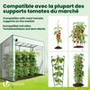 Serre de jardin Serre tomates avec porte et fenetres moustiquaire bache PE renforcee 135g/m2 200x77x170cm Blanc