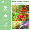 Serre de jardin Serre tomates avec grande porte enroulable bache PE renforcee 135g/m2 100x50x150cm Vert