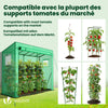 Serre de jardin Serre tomates avec porte et fenetres moustiquaire bache PE renforcee 135g/m2 200x77x170cm Vert