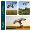 Cerf volant anti oiseaux effaroucheur sans mat Faucon modele E - VOUNOT FR
