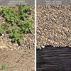 Toile de paillage contre les mauvaises herbes 10Mx2M Anti-UV 100g/m2 - VOUNOT